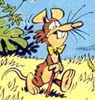 Avatar du membre