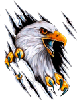 Avatar du membre