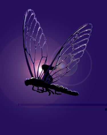 Avatar du membre
