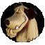 Avatar du membre